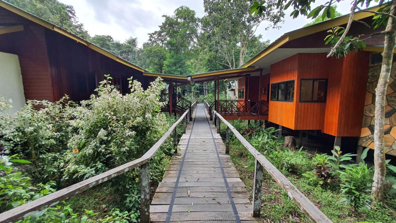 Bilit Adventure Lodge المظهر الخارجي الصورة