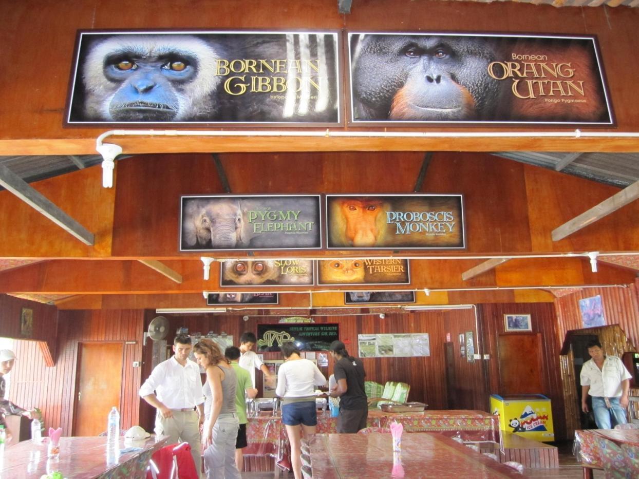 Bilit Adventure Lodge المظهر الخارجي الصورة