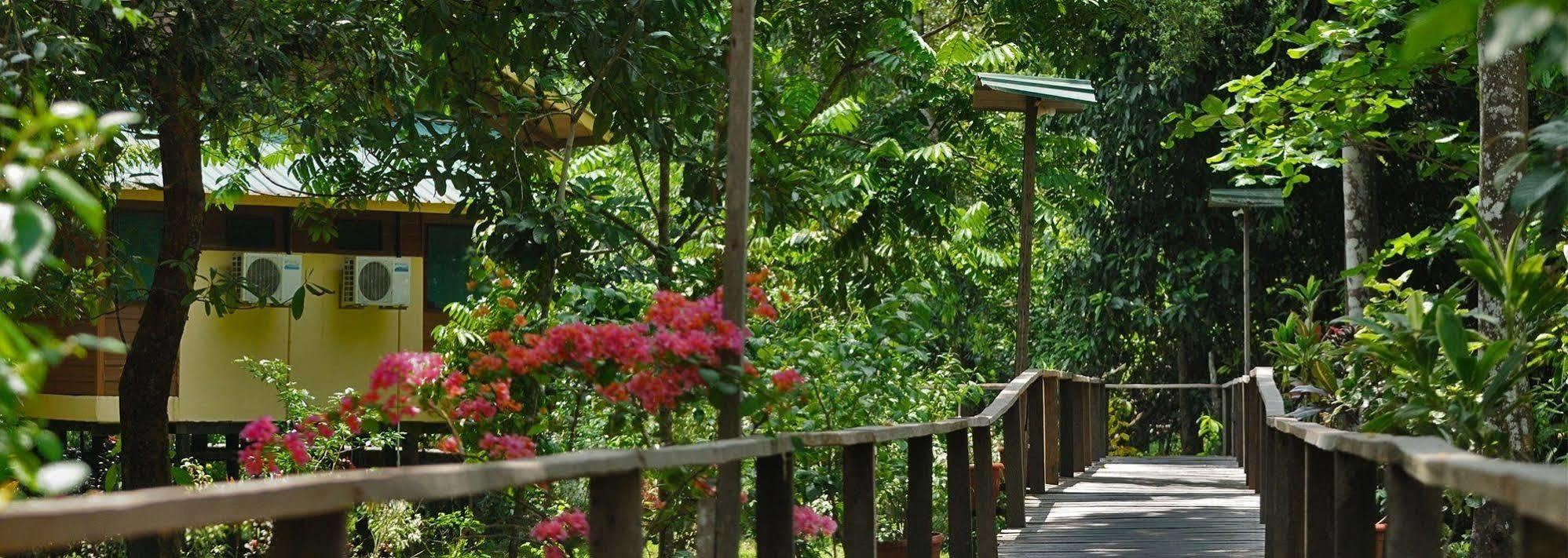 Bilit Adventure Lodge المظهر الخارجي الصورة